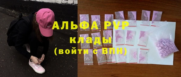 шишки Абаза