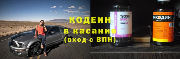 шишки Абаза