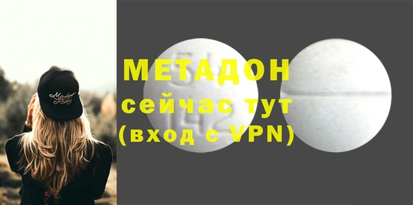 шишки Абаза