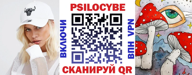 купить наркоту  мега онион  Псилоцибиновые грибы GOLDEN TEACHER  Шенкурск 