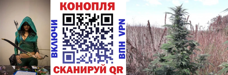 кракен ссылки  Шенкурск  Канабис план  купить наркоту 